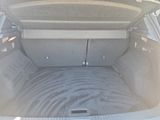 RENAULT Austral Techno NAVI+PDC+RfK+SHZ