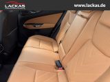 LEXUS NX 350h h 243 PS Executive Inter ieur Paket + Te