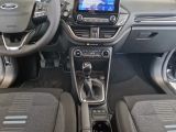 FORD Fiesta Active 1.0 Benzin MHEV Winterpaket Navi Apple CarPlay Android Auto 2-Zonen-Klimaautom