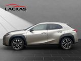 LEXUS UX 250h*STYLE*1HD*CARPLAY*SHZ* 15J-GARANTIE*