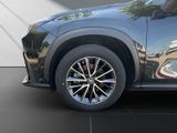 LEXUS NX 450h + BUSINESS 4x4 1HD NAVI CARPLAY