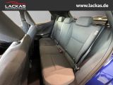 LEXUS LBX 1.5 Hybrid Basis 15 JAHRE GARANTIE