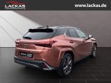 LEXUS UX 300h F-Sport Navi LED ACC Apple CarPlay