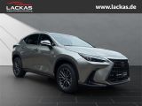 LEXUS NX 350h 243 PS Executive Inter ieur+ Techno Pake