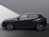 LEXUS UX 250h*F-Sport D.*1HD*SHZ CARPLAY*15J-GARANTIE*