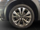 LEXUS UX 250 h F-Sport Design Allwetter