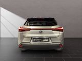 LEXUS UX 250h*STYLE*1HAND*CARPLAY*MwSt*