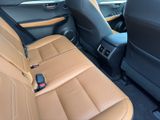 LEXUS NX 300 h*EXECUTIVE*4x4*1HD* 15J-GARANTIE*