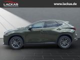 LEXUS NX 350h 243 PS Executive Inter ieur+Techno P