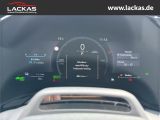 LEXUS RX 450 h+ F Sport Design Panoramadach