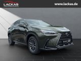 LEXUS NX 350 h 15 Jahre Garantie Exec utive + Interieu