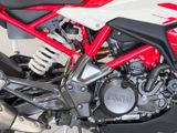 BMW G 310 R +Style-Passion+