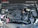 LEXUS UX 300h F-SPORT DESIGN*TOTW*FA CELIFT*GARANTIE*