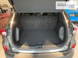 FORD Kuga Titanium X LED Navi Rückfahrkam. ACC B & O