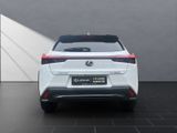 LEXUS UX 250h*FSPORT-D.*1.HD*ALLW.REIF** 15J-GARANTIE*