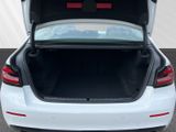 BMW 520 xd Limousine LC Prof AHK Alarm Lenkradheizung