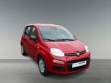 FIAT New Panda Pandina Pop 1.0 GSE 65 PS Klima el. FH Servo Kopf & Seiten Airbag