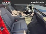 LEXUS LBX Basis*1.5*KOMFORT-PAK.*SHZ 15J-GARANTIE