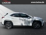 LEXUS UX 300h F-SPORT DESIGN*TOTW*FA CELIFT*GARANTIE*