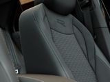 VW T-Roc R-Line 1.5 eTSI SITZHZ+AHK+ACC+PDC+CARPLAY