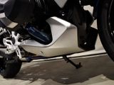 BMW R 1250 RS 