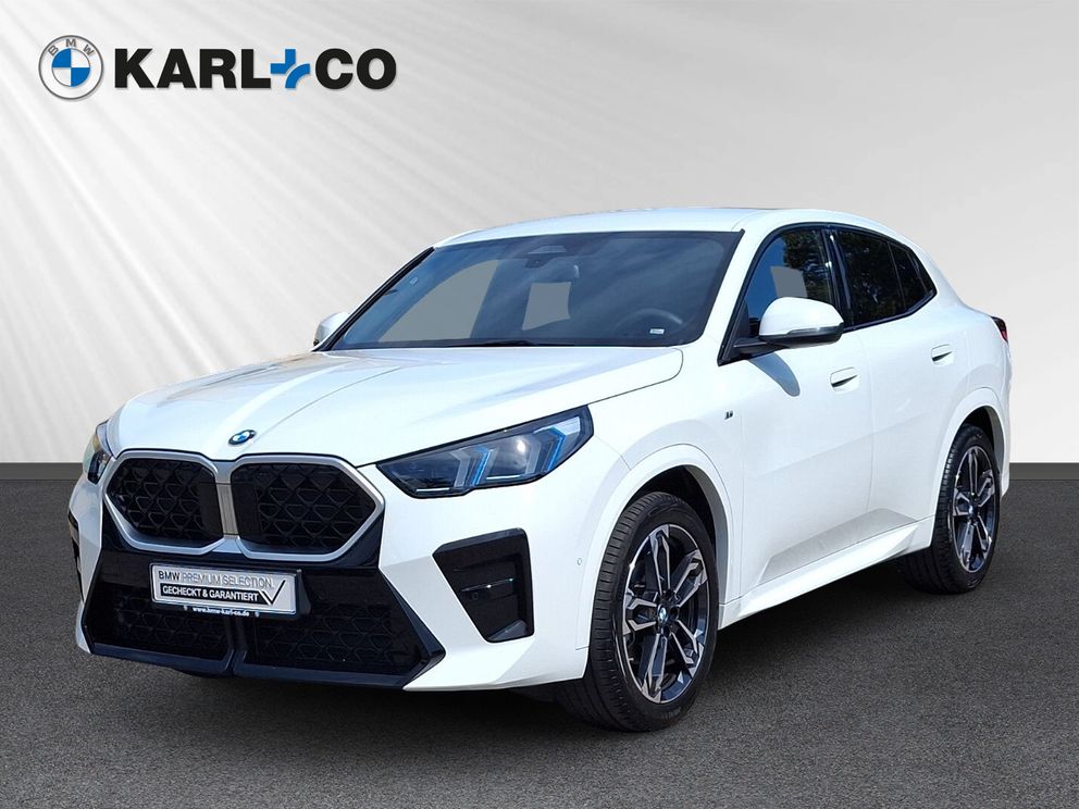 BMW X2 xDrive20d M Sport H&K Aktivsitz AHK Alarm