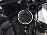 Harley Davidson Fat Bob seitlicher Kennzeichenträger