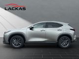 LEXUS NX 450h + Business 4x4+SITZBELÜF.+SHZ hinten+360