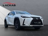 LEXUS UX 250h *lenkH*sitzH*Kamera*