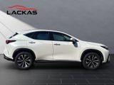 LEXUS NX 350h (AZ20) 350 h Business Line
