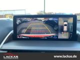 LEXUS NX 300 h E-Four F-Sport*CARPLAY *LEDER*LED*HUD*