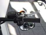 Harley Davidson Fat Bob seitlicher Kennzeichenträger