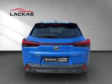 LEXUS UX 300h F-SPORT-D.*SOFORT *15JH-GARANTIE*