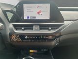 LEXUS UX 250h*FSPORT-D*1HD*ALLW.R*LEDER* 15J-GARANTIE*