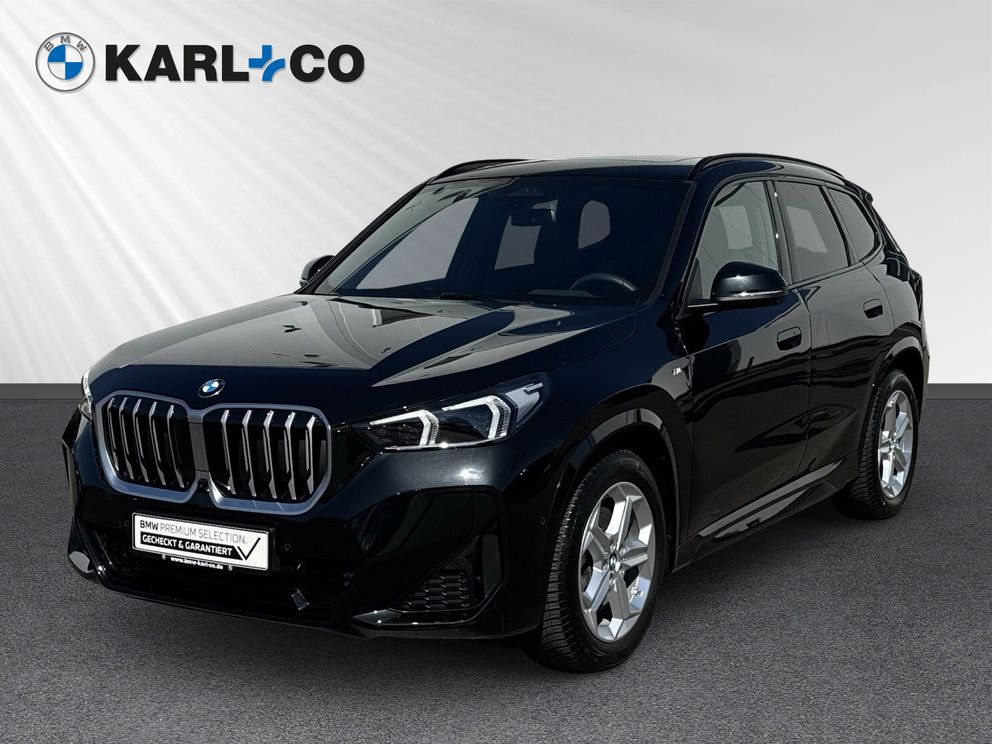BMW X1 23d xDrive M-Sport Adp.LED AHK HiFi Head-Up