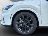 LEXUS RX 450 h+ F-Sport Design PANO+360KAMERA