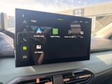 DACIA Sandero III Stepway Extreme 110 SHZ LHZ 360°