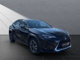 LEXUS UX 250h Style SHZ Kamera Alu