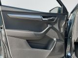 SKODA Karoq Clever Klima Einparkhilfe Sitzheizung