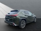 LEXUS UX 250h*FSPORT-D*1HD*ALLW.R*LEDER* 15J-GARANTIE*