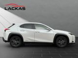 LEXUS UX 250h *lenkH*sitzH*Kamera*