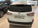 FORD Kuga Titanium X LED Navi Rückfahrkam. ACC Totwinkelassistent