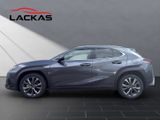 LEXUS UX 300 h F Sport Design Tech-Paket
