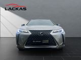 LEXUS UX 250h*STYLE*1HD*CARPLAY*SHZ* 15J-GARANTIE*