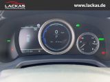 LEXUS RX 450 h AWD*F-SPORT*PANORAMA*T OP*AHK ABNEHMBAR