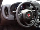 FIAT New Panda Pandina Pop
