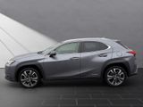 LEXUS UX 250 h*STYLE*CARPLAY*PDC*15 JAHRE GARANTIE
