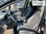 FORD EcoSport Titanium Navi Klimaautom Winterpaket