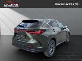 LEXUS NX 350h 243 PS Executive Inter ieur+Techno P