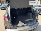 FORD Kuga ST-Line X Allrad Allwetterreifen Rückfahrkam. Navi Leder Digitales Cockpit Soundsystem